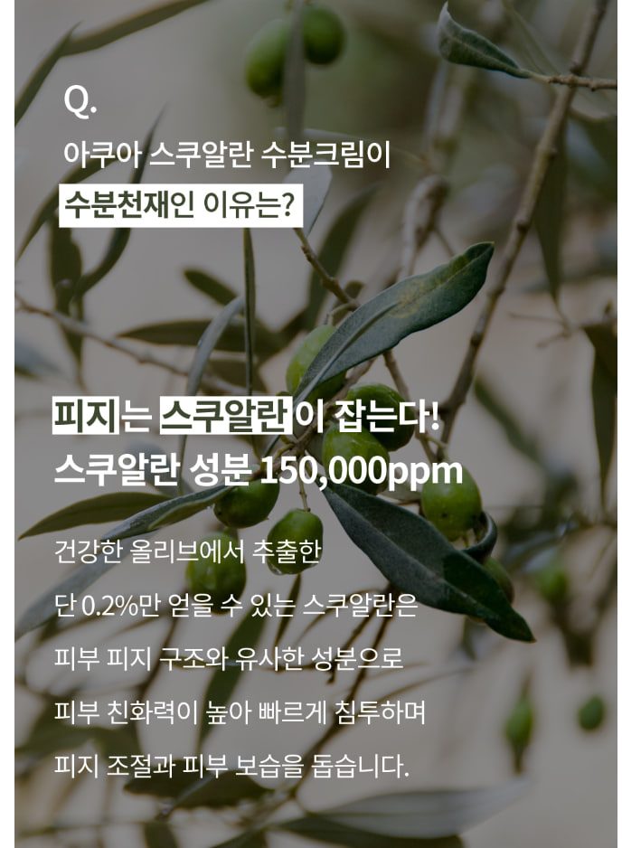 에스네이처 아쿠아 스쿠알란 수분크림