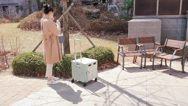 랄라 플렉시블 Premier 360도 4바퀴 접이식카트, 라벤더X그레이, 1개