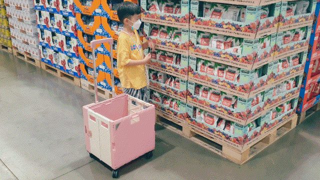 랄라 플렉시블 Premier 360도 4바퀴 접이식카트, 라벤더X그레이, 1개